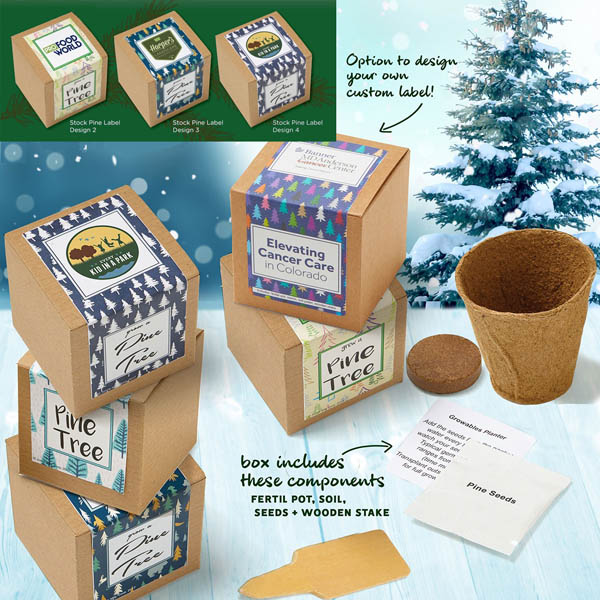 Custom Pine Tree Growables Planter in Gift Box | Bulk Pricing | Gimmees.com